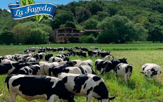 La-Fageda-i-SERHS-Distribució