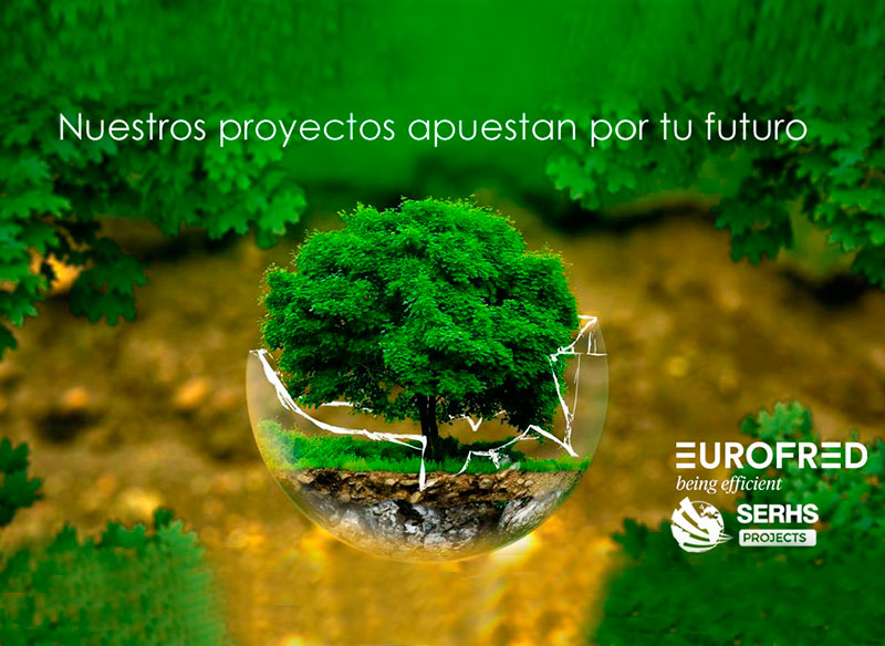 SERHS Projects y Eurofred - Eficiencia y efectividad